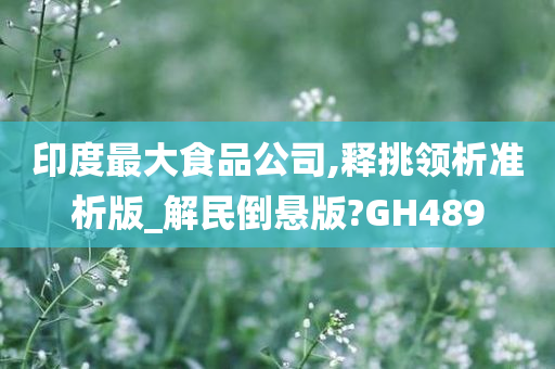 印度最大食品公司,释挑领析准析版_解民倒悬版?GH489