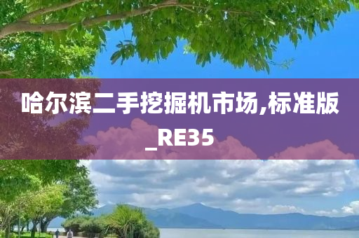 哈尔滨二手挖掘机市场,标准版_RE35