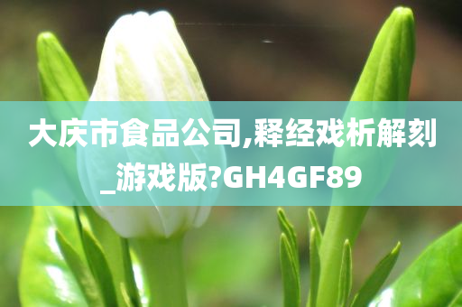 大庆市食品公司,释经戏析解刻_游戏版?GH4GF89