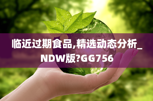 临近过期食品,精选动态分析_NDW版?GG756