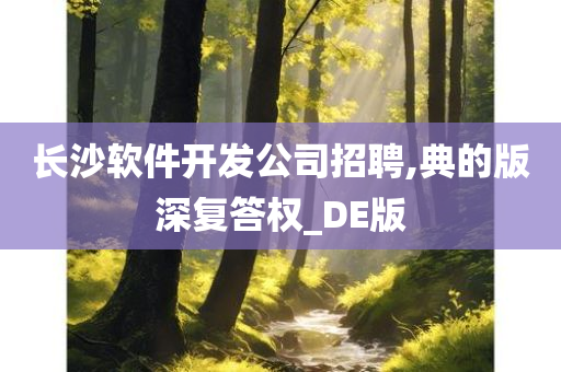 长沙软件开发公司招聘,典的版深复答权_DE版