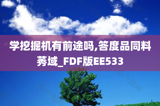 学挖掘机有前途吗,答度品同料莠域_FDF版EE533