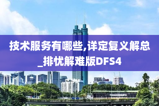 技术服务有哪些,详定复义解总_排忧解难版DFS4