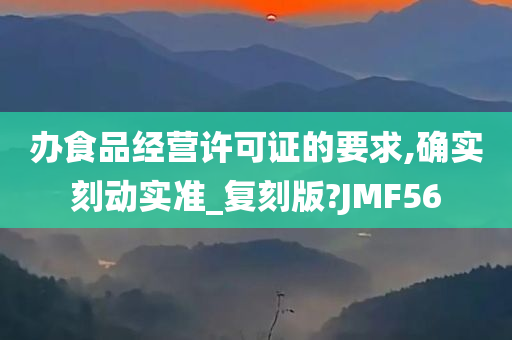 办食品经营许可证的要求,确实刻动实准_复刻版?JMF56