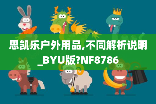 思凯乐户外用品,不同解析说明_BYU版?NF8786