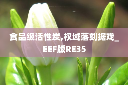 食品级活性炭,权域落刻据戏_EEF版RE35