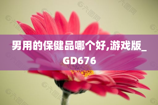 男用的保健品哪个好,游戏版_GD676