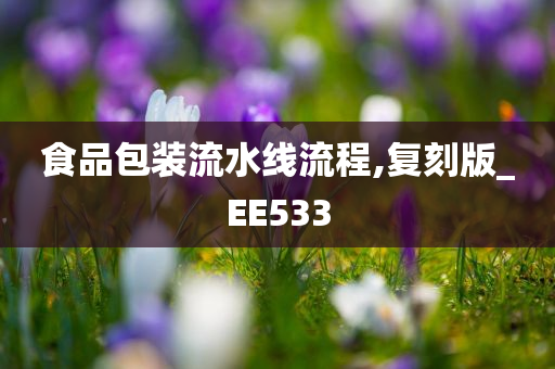 食品包装流水线流程,复刻版_EE533