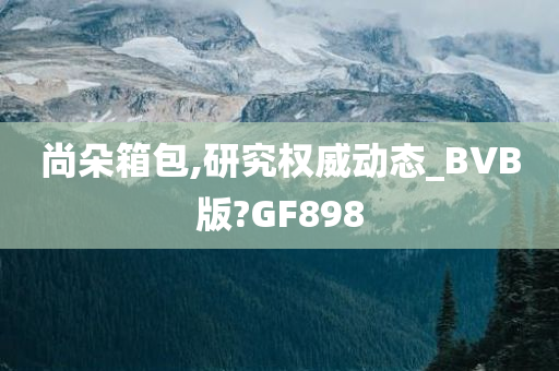 尚朵箱包,研究权威动态_BVB版?GF898