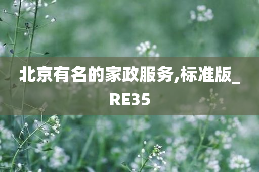 北京有名的家政服务,标准版_RE35