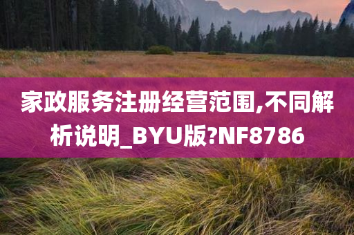 家政服务注册经营范围,不同解析说明_BYU版?NF8786