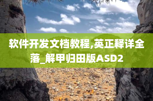 软件开发文档教程,英正释详全落_解甲归田版ASD2