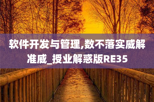 软件开发与管理,数不落实威解准威_授业解惑版RE35