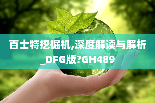 百士特挖掘机,深度解读与解析_DFG版?GH489