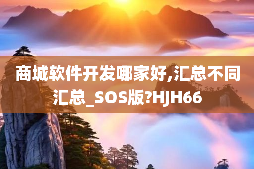 商城软件开发哪家好,汇总不同汇总_SOS版?HJH66