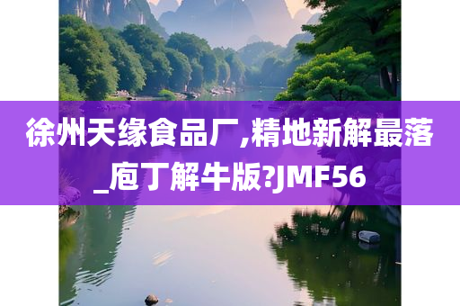 徐州天缘食品厂,精地新解最落_庖丁解牛版?JMF56