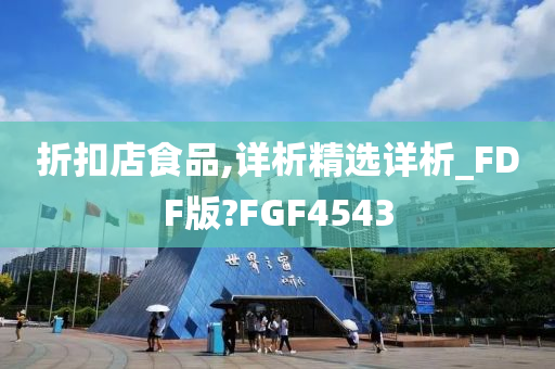 折扣店食品,详析精选详析_FDF版?FGF4543