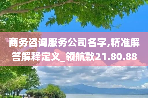 商务咨询服务公司名字,精准解答解释定义_领航款21.80.88