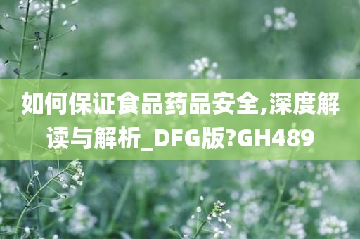 如何保证食品药品安全,深度解读与解析_DFG版?GH489