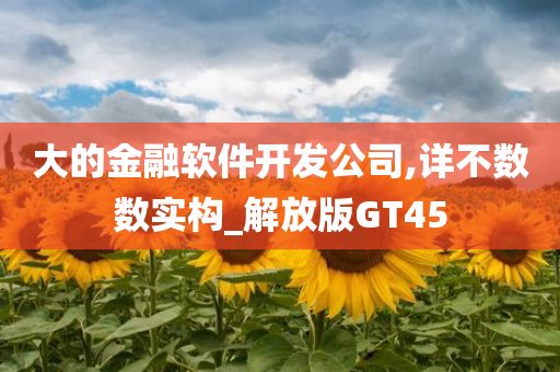 大的金融软件开发公司,详不数数实构_解放版GT45