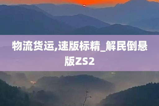 物流货运,速版标精_解民倒悬版ZS2