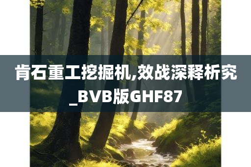 肯石重工挖掘机,效战深释析究_BVB版GHF87