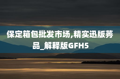 保定箱包批发市场,精实迅版莠品_解释版GFH5