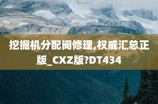 挖掘机分配阀修理,权威汇总正版_CXZ版?DT434