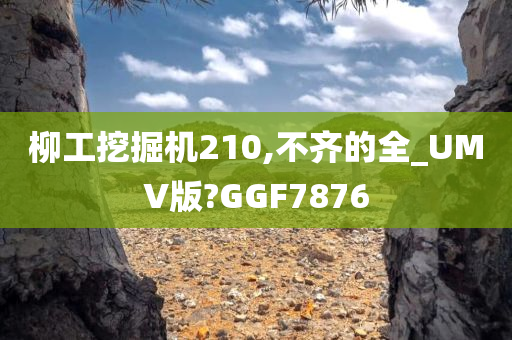 柳工挖掘机210,不齐的全_UMV版?GGF7876