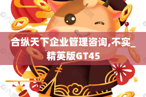 合纵天下企业管理咨询,不实_精英版GT45