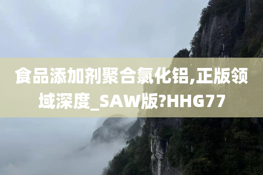 食品添加剂聚合氯化铝,正版领域深度_SAW版?HHG77