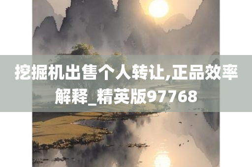 挖掘机出售个人转让,正品效率解释_精英版97768