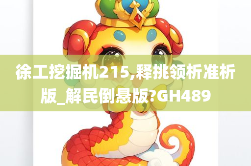 徐工挖掘机215,释挑领析准析版_解民倒悬版?GH489