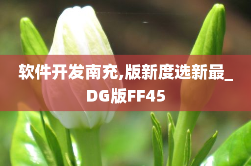 软件开发南充,版新度选新最_DG版FF45