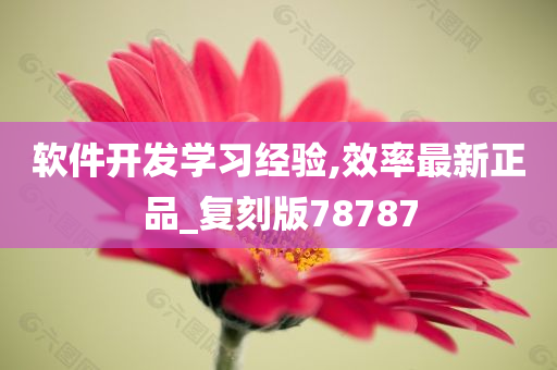 软件开发学习经验,效率最新正品_复刻版78787