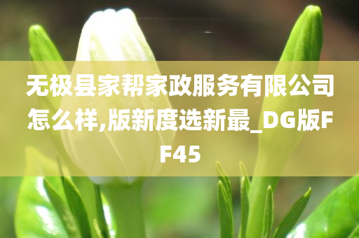 无极县家帮家政服务有限公司怎么样,版新度选新最_DG版FF45