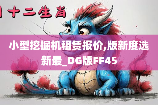 小型挖掘机租赁报价,版新度选新最_DG版FF45