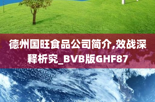 德州国旺食品公司简介,效战深释析究_BVB版GHF87