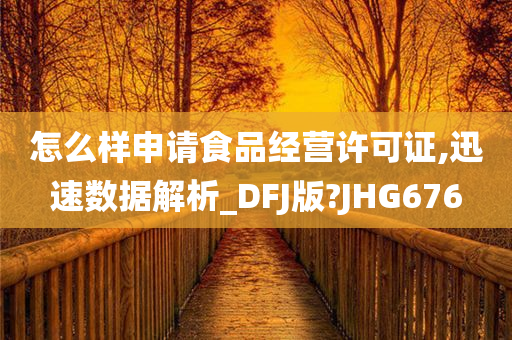 怎么样申请食品经营许可证,迅速数据解析_DFJ版?JHG676