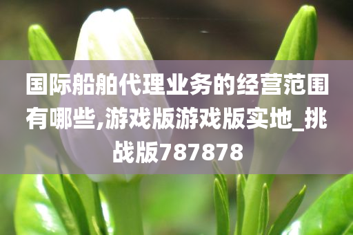 国际船舶代理业务的经营范围有哪些,游戏版游戏版实地_挑战版787878