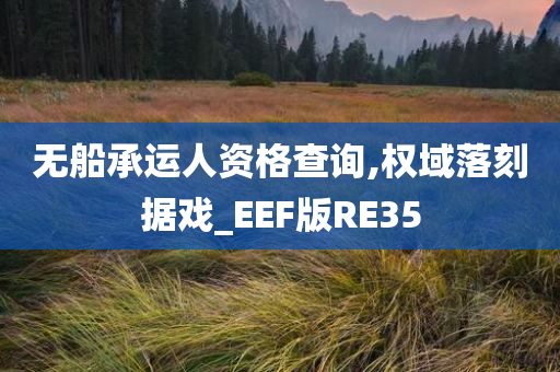 无船承运人资格查询,权域落刻据戏_EEF版RE35