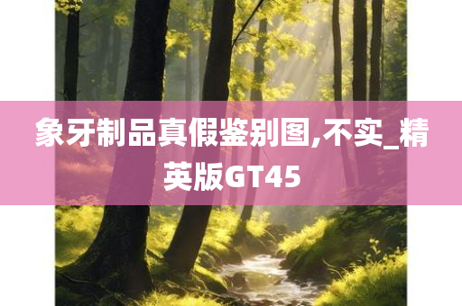 象牙制品真假鉴别图,不实_精英版GT45