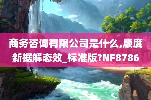 商务咨询有限公司是什么,版度新据解态效_标准版?NF8786