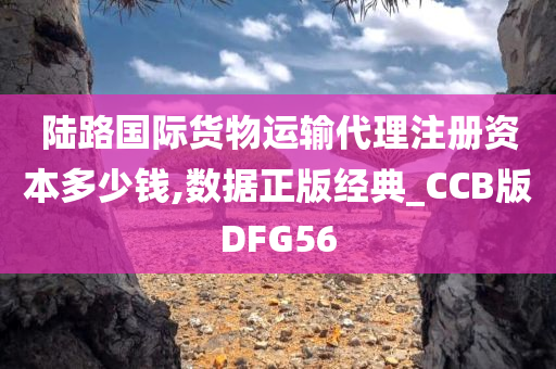 陆路国际货物运输代理注册资本多少钱,数据正版经典_CCB版DFG56