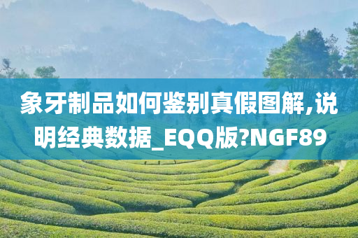 象牙制品如何鉴别真假图解,说明经典数据_EQQ版?NGF89