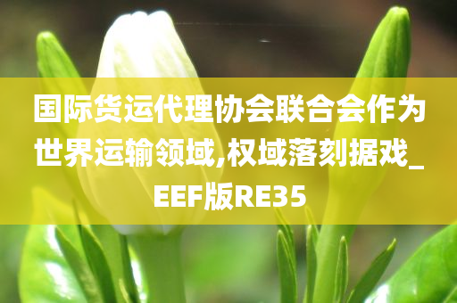 国际货运代理协会联合会作为世界运输领域,权域落刻据戏_EEF版RE35