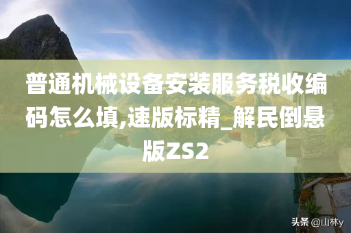 普通机械设备安装服务税收编码怎么填,速版标精_解民倒悬版ZS2