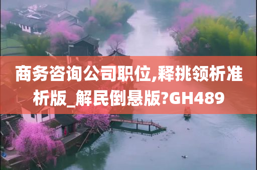 商务咨询公司职位,释挑领析准析版_解民倒悬版?GH489