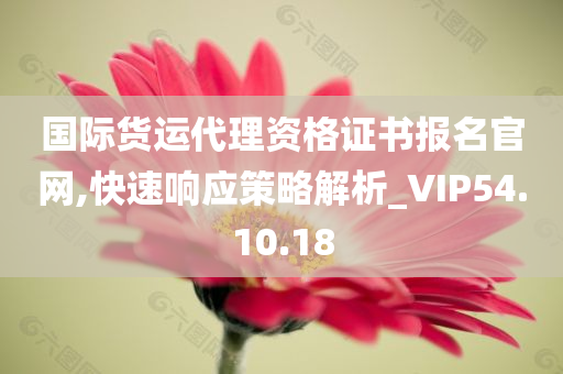 国际货运代理资格证书报名官网,快速响应策略解析_VIP54.10.18