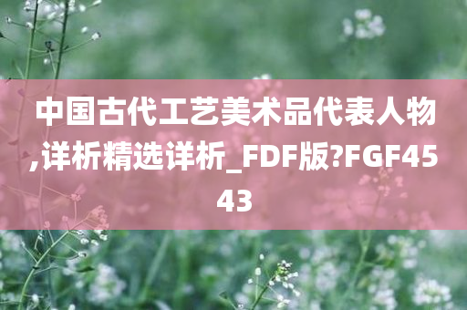 中国古代工艺美术品代表人物,详析精选详析_FDF版?FGF4543